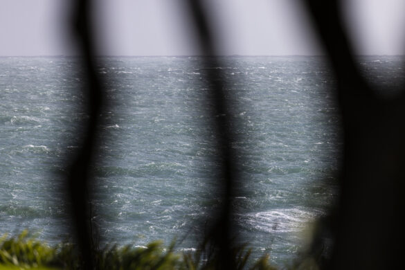 Stormy through the trees. 